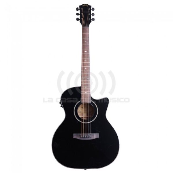 A1 BK GUITARRA E/A METAL NATIVA