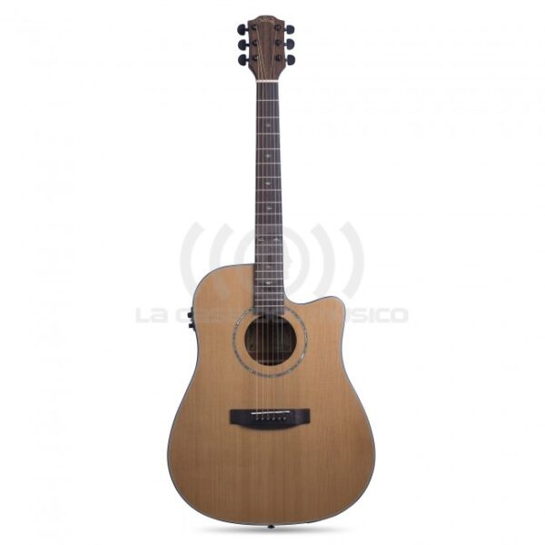 D1 NT GUITARRA E/A METAL NATIVA