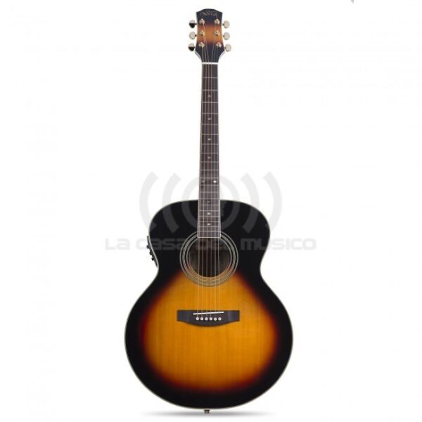 J1 TS GUITARRA E/A METAL NATIVA