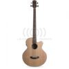 J1 TS GUITARRA E/A METAL NATIVA