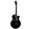 Guitarra Electro Acustica WF18CENM Washburn