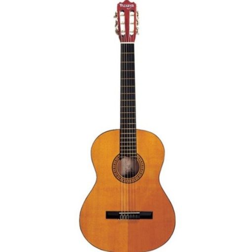 Guitarra clásica Castilla NT c/funda