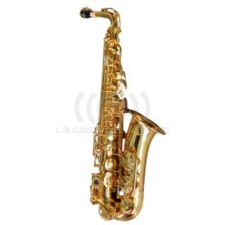 Saxofón Alto Estudiante HAS100 – Hoffer