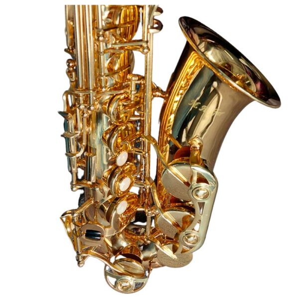 Saxofón Alto Estudiante HAS100 – Hoffer