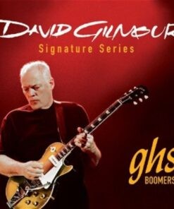 David Gilmour Signature Series