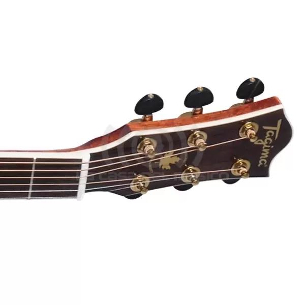 GUITARRA ELECTROACUSTICA TAGIMA MONTREAL EQ NT