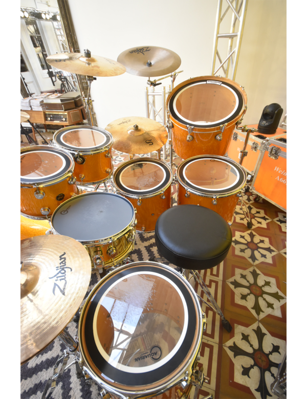 Parche Tom 14″ Clear SX-14 STUDIO-X