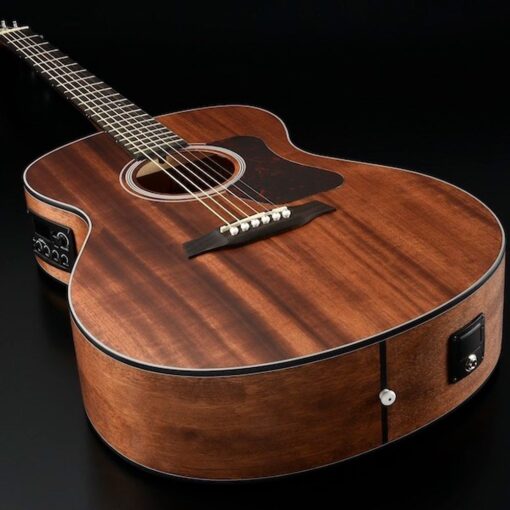 Walden Guitarra Electroacústica G551E C/Funda