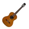 Guitarra Electroacústica Ibanez AEG50N