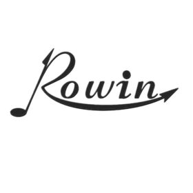 Rowin Tape Echo Pedal Guitarra RW-3809