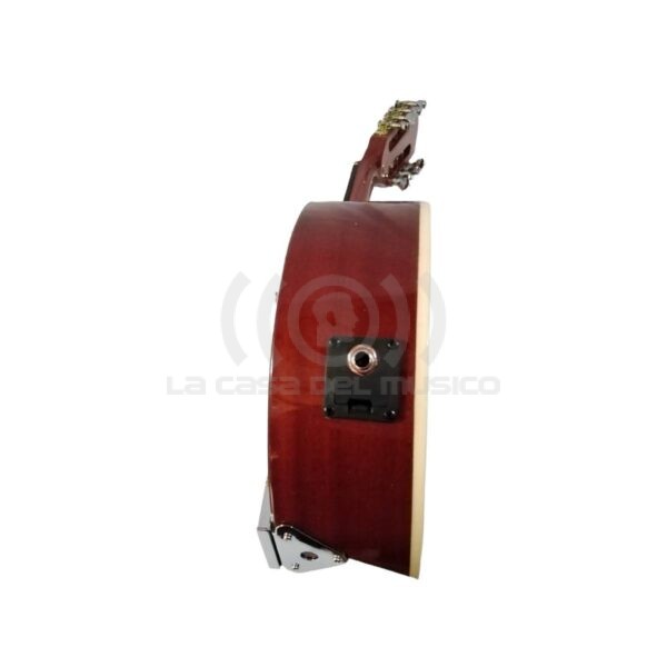 Banjo 8C con funda electroacústico Rowell YWBJ-08EL