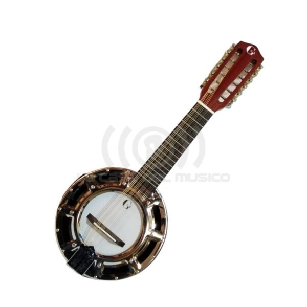 Banjo 12C con funda electroacústico Rowell YWBJ-12EL