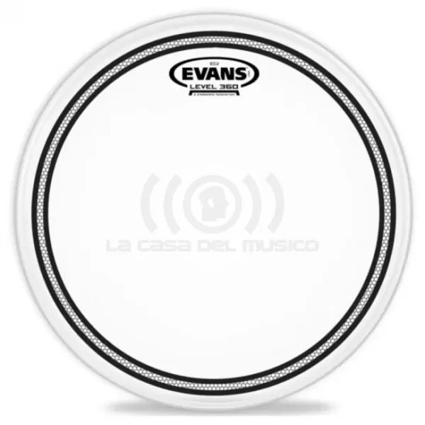 Evans B16EC2S Parche EC2 16″ Coated SST