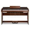 Donner DDP-80 Piano de Digital Estilo Madera 88-teclas contrapesadas