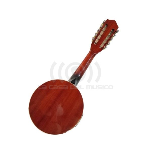 Banjo 10C con funda electroacústico Rowell YWBJ-10EL