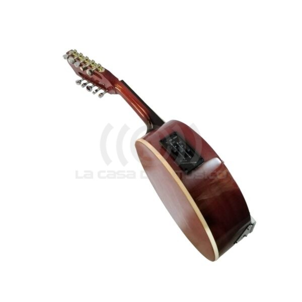 Banjo 10C con funda electroacústico Rowell YWBJ-10EL