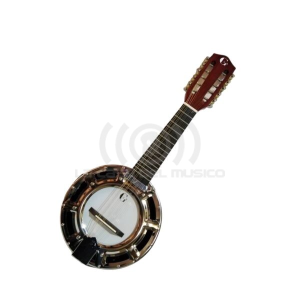 Banjo 10C con funda electroacústico Rowell YWBJ-10EL