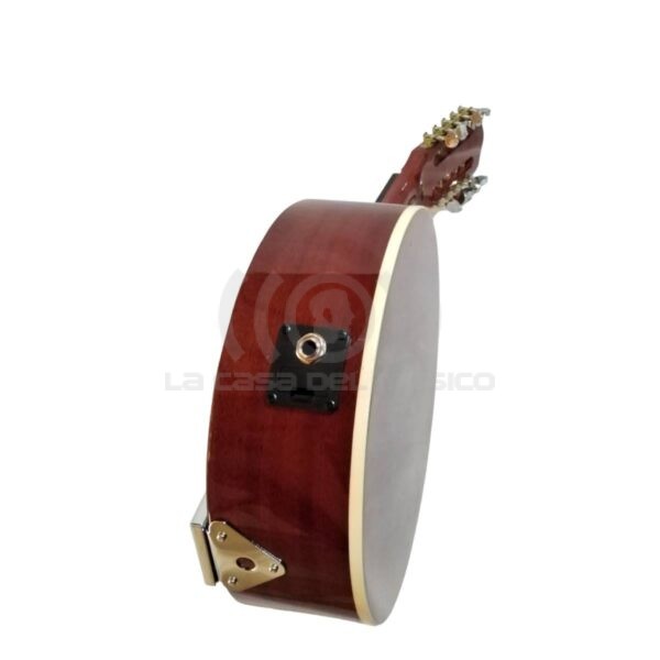 Banjo 10C con funda electroacústico Rowell YWBJ-10EL