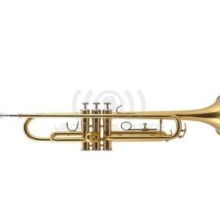 Allegro All6416L Trompeta Gold