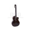 Guitarra Electro Acustica Palmer PC16CEQ Transparent Black