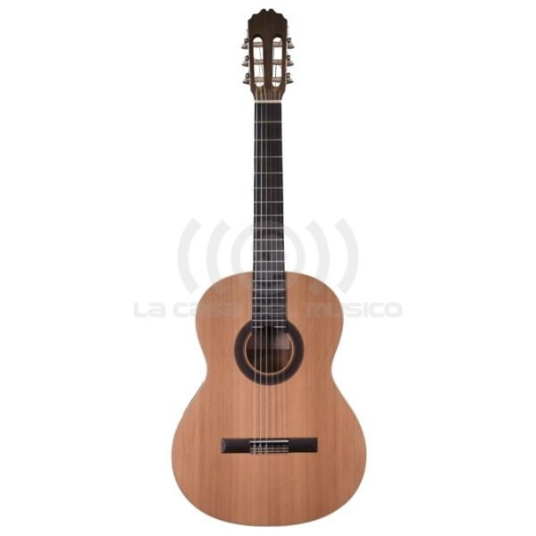 PRODIPE STUDENT 4/4 Guitarra Clásica de 6 Cuerdas