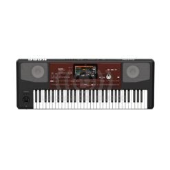 Korg PA700 - Teclado Arranger
