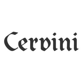 HV100 VIOLIN 4-4 CERVINI NEGRO