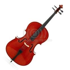 CELLO 4/4 LIC-760L LIVORNO